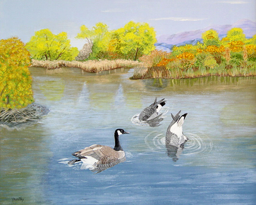 Canada Geese