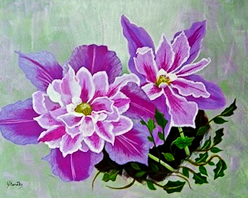 Clematis