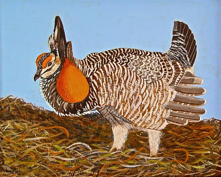 Prairie Chicken