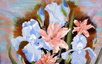 Iris Lilies