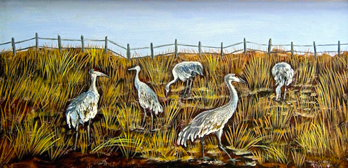 SANDHILLS FORAGING