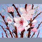Peach Blossoms 4